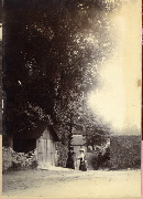 AR_1981_176_2_305.jpg