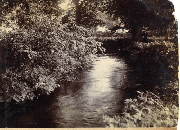 AR_1981_176_2_306.jpg