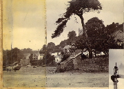 AR_1981_176_2_307.jpg