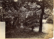 AR_1981_176_2_308.jpg