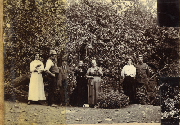 AR_1981_176_2_310.jpg