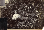 AR_1981_176_2_311.jpg