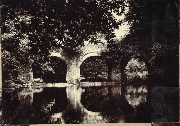 AR_1981_176_2_312.jpg