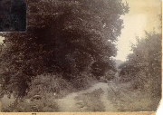 AR_1981_176_2_314.jpg