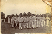 AR_1981_176_2_316.jpg