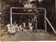 AR_1981_176_2_317.jpg
