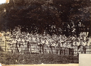 AR_1981_176_2_319.jpg