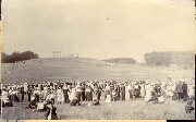 AR_1981_176_2_321.jpg