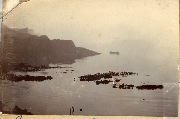 AR_1981_176_2_324.jpg