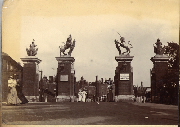 AR_1981_176_2_357.jpg