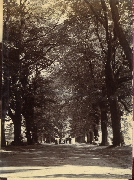 AR_1981_176_2_358.jpg