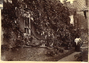 AR_1981_176_2_361.jpg