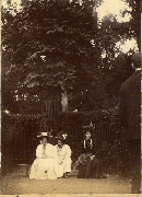 AR_1981_176_2_365.jpg