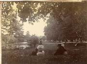 AR_1981_176_2_367.jpg