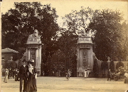 AR_1981_176_2_376.jpg
