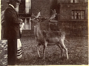 AR_1981_176_2_380.jpg