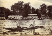 AR_1981_176_2_384.jpg