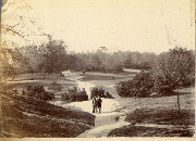 AR_1981_176_2_398.jpg