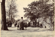 AR_1981_176_2_402.jpg