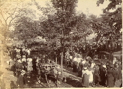 AR_1981_176_2_403.jpg