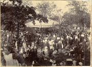 AR_1981_176_2_404.jpg