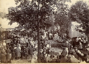 AR_1981_176_2_405.jpg