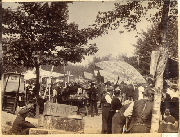 AR_1981_176_2_407.jpg