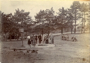 AR_1981_176_2_415.jpg