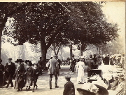 AR_1981_176_2_418.jpg