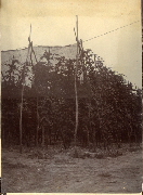 AR_1981_176_2_420.jpg