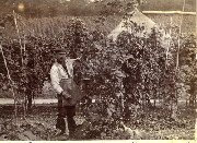 AR_1981_176_2_421.jpg