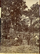 AR_1981_176_2_427.jpg