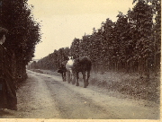 AR_1981_176_2_428.jpg
