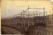 AR_1981_176_2_430.jpg