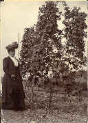 AR_1981_176_2_432.jpg