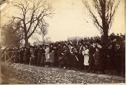 AR_1981_176_2_434.jpg