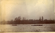 AR_1981_176_2_438.jpg