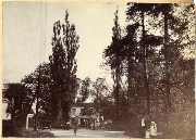 AR_1981_176_2_447.jpg