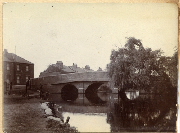 AR_1981_176_2_449.jpg