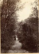 AR_1981_176_2_471.jpg