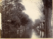 AR_1981_176_2_475.jpg
