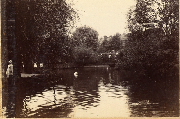 AR_1981_176_2_477.jpg