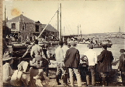 AR_1981_176_2_496.jpg