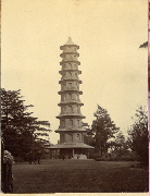 AR_1981_176_2_499.jpg
