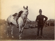 AR_1981_176_2_501.jpg