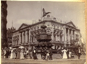 AR_1981_176_2_516.jpg