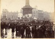 AR_1981_176_2_531.jpg