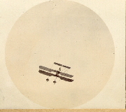 AR_1981_176_2_590.jpg