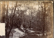 AR_1981_176_2_593.jpg