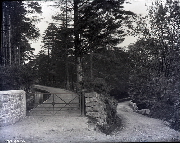 AR.1924.15.88.jpg